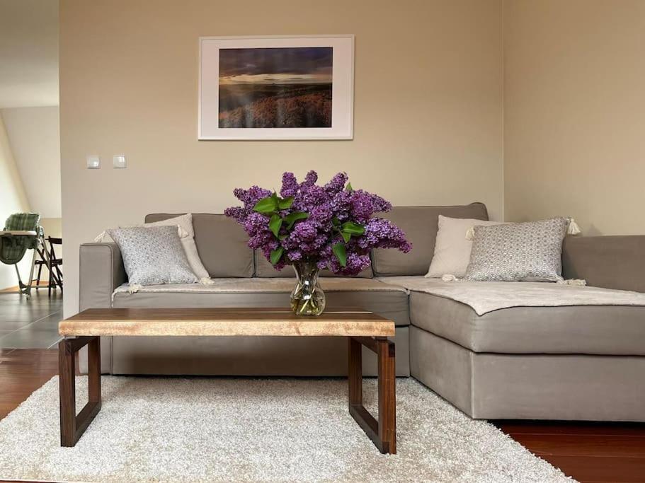 Apartament Hemingwaya Jelenia Góra Exterior foto